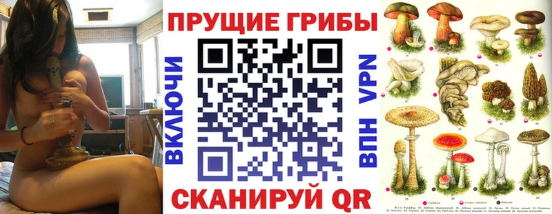 Псилоцибиновые грибы GOLDEN TEACHER  мега как зайти  Каменск-Уральский 